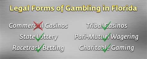 fl gambling sites|new florida gambling laws.